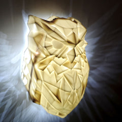 Owl Eagle Night Light – Sculptural Wall Lam