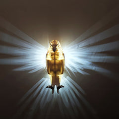 Owl Eagle Night Light – Sculptural Wall Lam